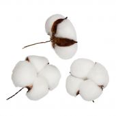 VDF-24 Коробочка хлопка 3 шт. 7*7*3,5 см