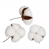 VDF-24 Коробочка хлопка 3 шт. 7*7*3,5 см