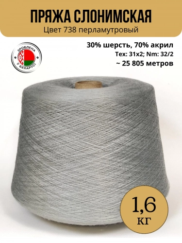 Пряжа Слонимская ПШ в бобине цвет 738 перламутровый