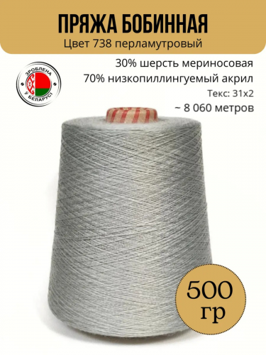 Пряжа слонимская бобинная цвет 738 перламутровый