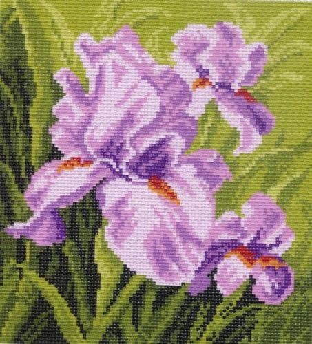 Вышивка 0603 - Ирис