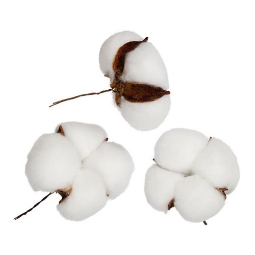 VDF-24 Коробочка хлопка 3 шт. 7*7*3,5 см