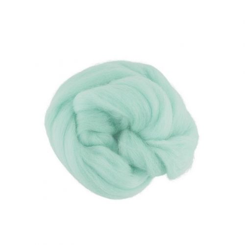 TFS-050 "Шерсть для валяния" 100% полутонкая шерсть 50 г, цвет мята (3855)